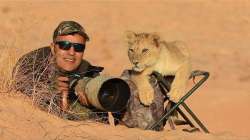 lion cub chilling with photographer