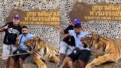 2 men get picture clicked with tiger