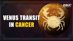 Venus Transit 2023: Shukra gochar in Cancer effect on zodiac signs