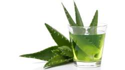 Aloe Vera juices for weight loss: Know recipe