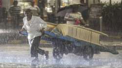 Mumbai rains, 22 yaer old Man died tree falls, Mumbai rains death, IMD yellow ALERT,  Mumbai rain to