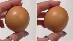 Woman finds ‘one in a billion’ round egg