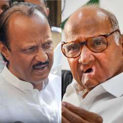 Sharad Pawar, Ajit Pawar