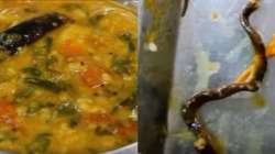 dead Snake found inside food in Hyderabad , dead Snake served at ECIL canteen, ECIL canteen Hyderaba