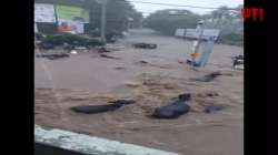 Cattle, vehicles wash away