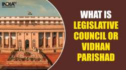 The members of the Legislative Council are known as MLCs.