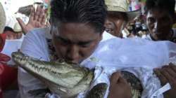 Viral: Mexican mayor marries crocodile as per centuries-old ritual for good harvest