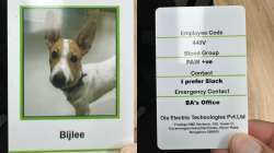 Ola Electric's CEO introduces their newest employee ‘Bijlee’.