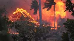 Hawaii wildfire rages