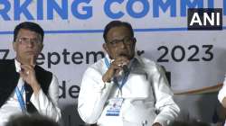 Congress leader P Chidambaram addresses press after CWC meet.