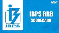 IBPS RRB Clerk scorecard, IBPS RRB Clerk scorecard download