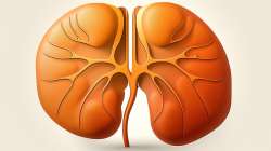 kidney wellness