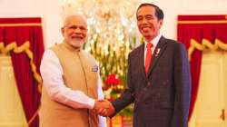 PM Modi with Indonesian President Joko Widodo