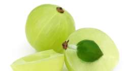 Amla Benefits