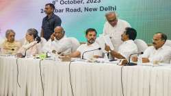 Congress President Mallikarjun Kharge with party leaders Sonia Gandhi, Rahul Gandhi, KC Venugopal, Jairam Ramesh, Adhir Ranjan Chowdhury and Ambika Soni during the Congress Working Committee meeting at the AICC Headquarters