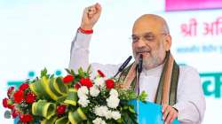 Amit Shah, Madhya Pradesh Assembly elections, MP polls