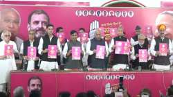 Rajasthan Assembly polls, Congress manifesto