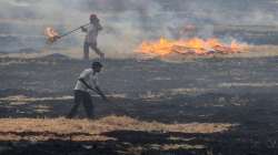 Supreme Court, Delhi air pollution, Punjab govt, stubble burning