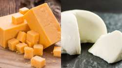 Cheddar vs Mozzarella