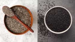 chia seeds vs basil seeds