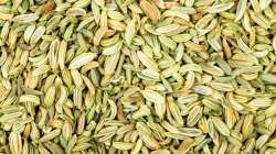 Fennel seeds 