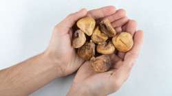 A person holding dried figs in his  palm