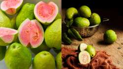 White Guava vs Pink Guava