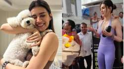 Kriti Sanon trolled for getting scared of cow | Watch 