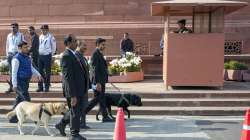 Security personnel with sniffer dogs check Parliament House premises.