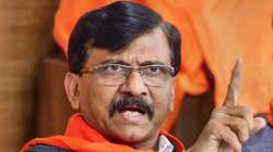 Sanjay Raut, Congress, Lok Sabha polls