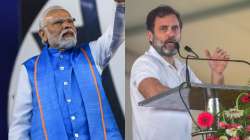 Rahul Gandhi had called PM Narendra Modi 'panauti' after India lost the World Cup 2023 final