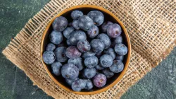 benefits of Blueberry 