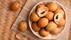 Sapodilla