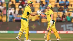 Mitchell Marsh (left) and David Warner (right).