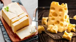 Butter vs Cheese