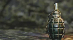 Hand grenade and defused spotted in the field in Indore.