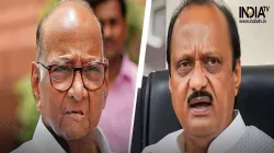 Sharad Pawar and Ajit Pawar