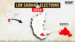 Mandya Lok Sabha Election Result 2024