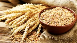 Superfood Wheat