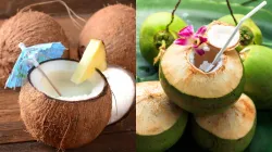 Coconut vs Tender Coconut