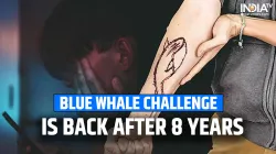 Blue whale challenge