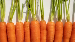 carrot recipes