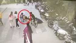 Dog attacks girl in Ghaziabad, CCTV footage surfaces