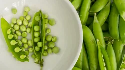 Green Peas