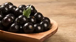 Jabuticaba