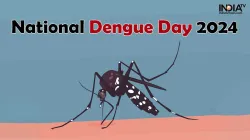 National Dengue Day 2024