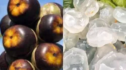 Superfood Ice Apple