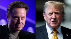 Elon Musk, Donald Trump