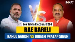 Rae Bareli Lok Sabha elections 2024: Rahul Gandhi Vs Dinesh Pratap Singh