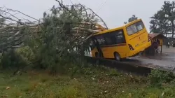 A tree falls on a school bus in Sonitpur